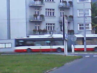 bus7.JPG